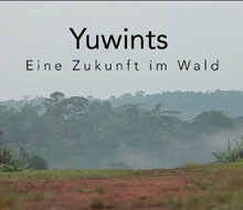 Yuwints, eine Zukunft im Wald